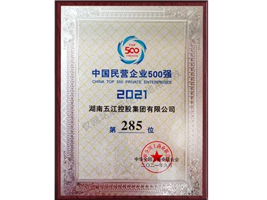 中國民營(yíng)企業(yè)500強第285位（2021年）