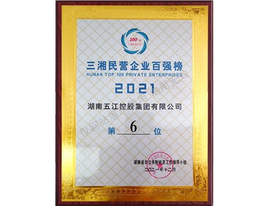 三湘民營(yíng)企業(yè)500強榜第6位（2021年）