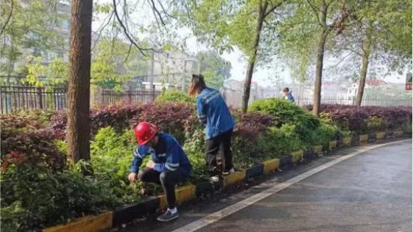 匯源煤氣員工勞動(dòng)節除草忙
